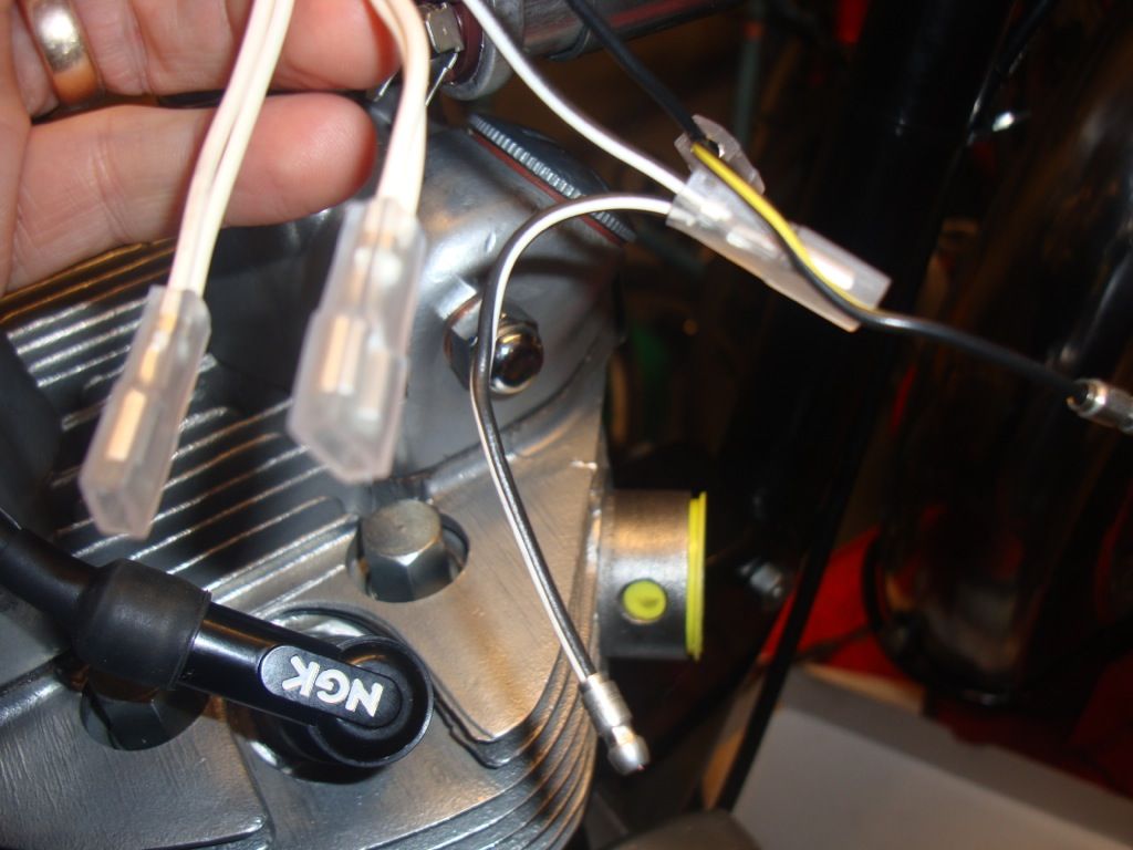 Wiring help please - what to chop... | Triumph Rat Motorcycle Forums